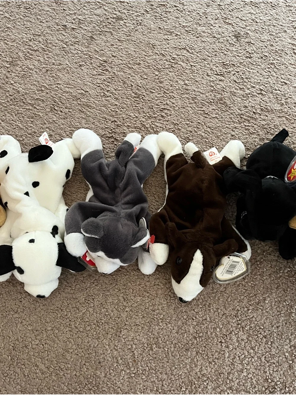 Ty Plush Husky and Assorted Dog Pack - Gray, White, Brown, Black